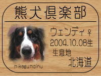 �I�[�i�[�́A�E�F���}�}����ł���